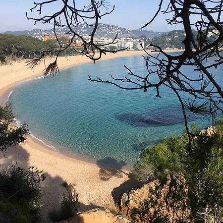 Apartment Vibrant Near Lloret *