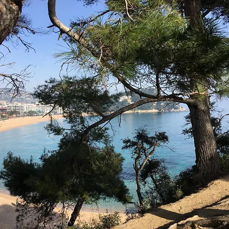 Apartment Vibrant Near Lloret