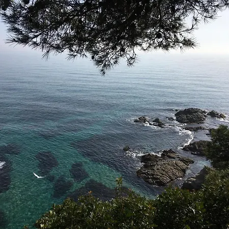 Vibrant Near Lloret Lloret de Mar