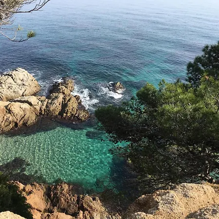 Vibrant Near Lloret Lloret de Mar